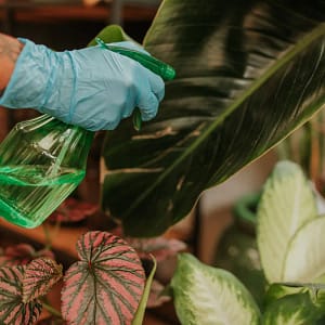 Defensivos: Inseticidas, Herbicidas, Formicidas - Imagem 1
